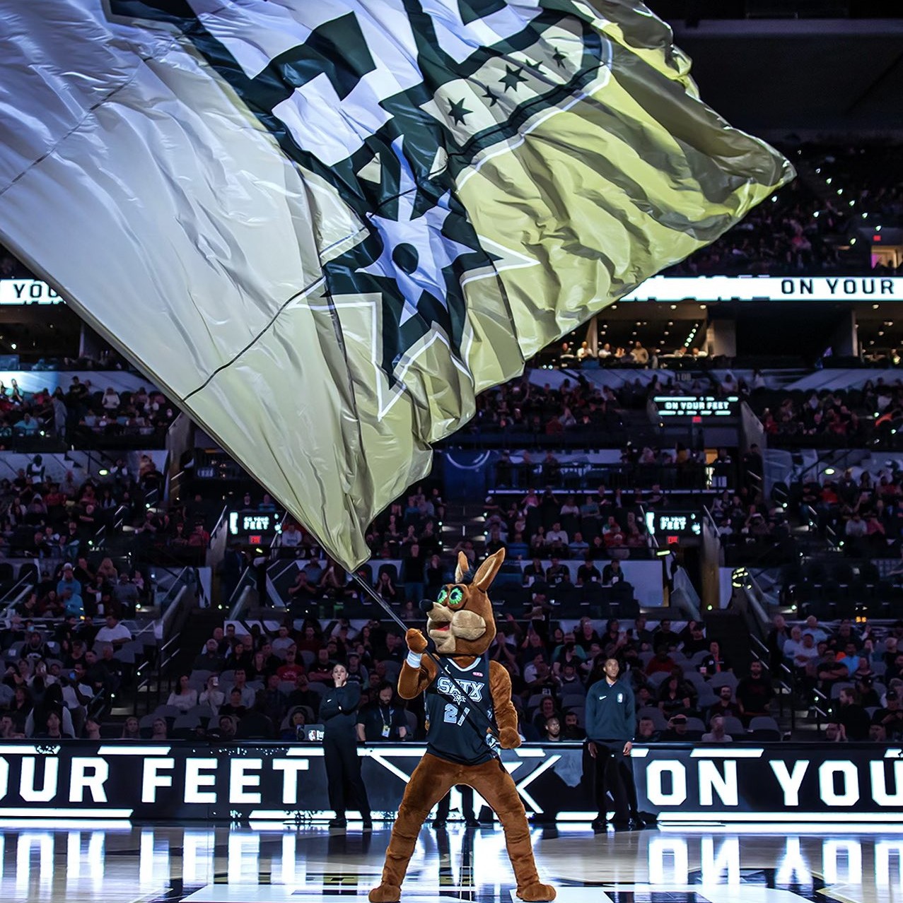 并分析他们 并分析他们